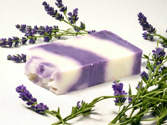 Lavender is believed to be antiseptic and wound-healing due to the tannins it contains, and this may also help to protect the skin. Its essential oil gives it a calming and relaxing fragrance.