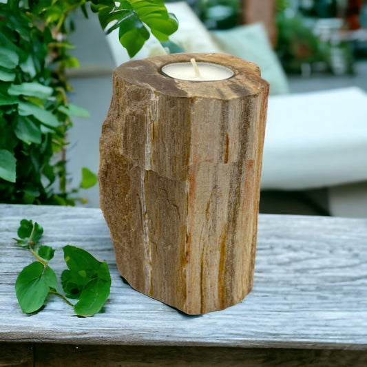 Petrified Wood Candle Holder - Single Tall